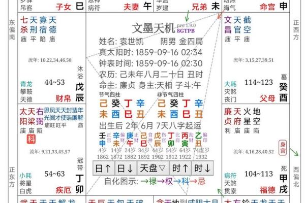 2025年3月12日丑时男命紫微斗数全解盘 2025年3月12日丑时男命紫微斗数全解盘