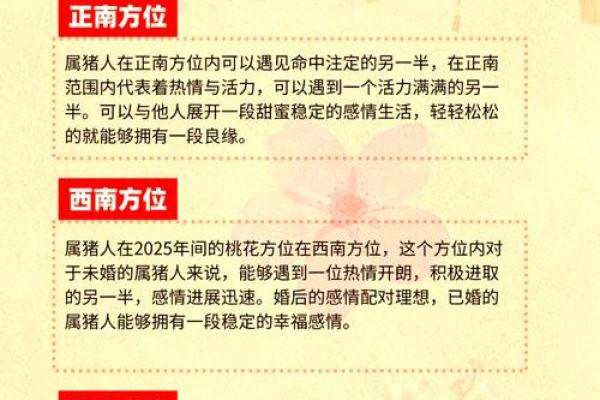 属猪2025年 属猪2025年多大岁数了 属猪2025年 属猪2025年多大岁数了
