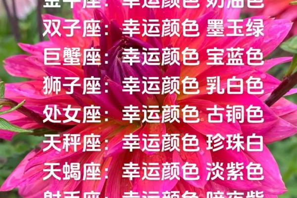 白羊座25年幸运色 白羊座25年幸运色