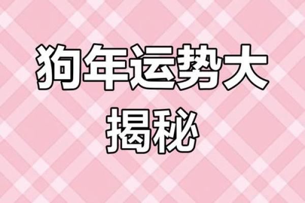 2025年属狗人幸运色揭秘提升运势的最佳选择 2025年属狗人幸运色揭秘提升运势的最佳选择
