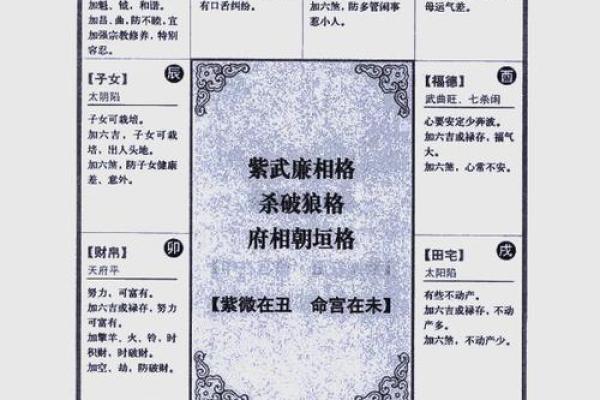 2025年3月25日寅时男命紫微斗数全解盘 2025年3月25日寅时男命紫微斗数全解盘