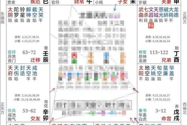 2025年3月3日丑时男命紫微斗数全解盘 2025年3月3日丑时男命紫微斗数全解盘