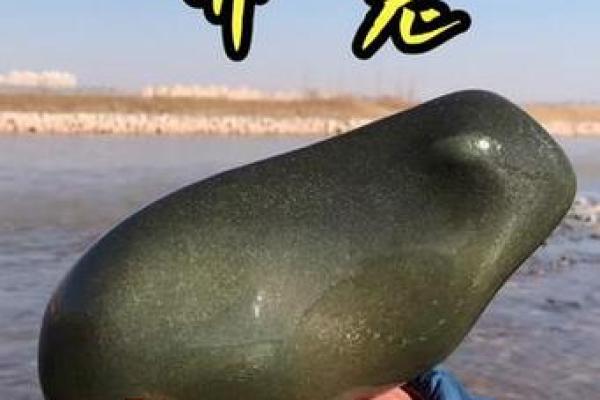 点石成金打一最佳生肖 点石成金打一最佳生肖