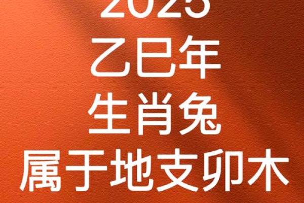 属兔人2025全年运势 2025年属兔人全年运势详解事业财运爱情全解析 属兔人2025全年运势 2025年属兔人全年运势详解事业财运爱情全解析