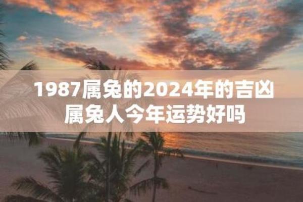 1987年属兔2024年每月运势详解全年运程完整版 1987年属兔2024年每月运势详解全年运程完整版