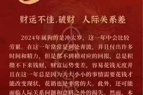 2025年运势解析06年属狗人未来运势大揭秘 2025年运势解析06年属狗人未来运势大揭秘
