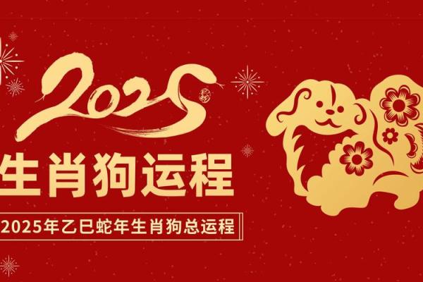 2022年属狗人的全年运势 2022年属狗人的全年运势