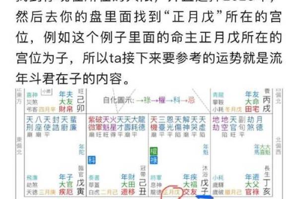 2025年2月21日丑时男命紫微斗数全解盘 2025年2月21日丑时男命紫微斗数全解盘