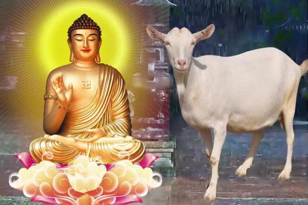 1967年羊女2025年运气怎么样_67年属羊58岁命中注定2025 1967年羊女2025年运气怎么样_67年属羊58岁命中注定2025