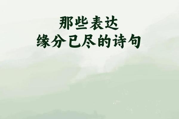 缘分的近义词 缘分的近义词有哪些呢 缘分的近义词 缘分的近义词有哪些呢