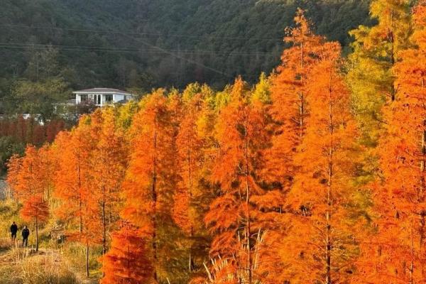 山穷水尽是什么生肖(山穷水尽是什么生肖动物呢) 山穷水尽是什么生肖(山穷水尽是什么生肖动物呢)