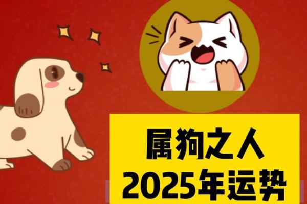 2006属狗2025年学业运_2006年属狗在2024年学业如何 2006属狗2025年学业运_2006年属狗在2024年学业如何