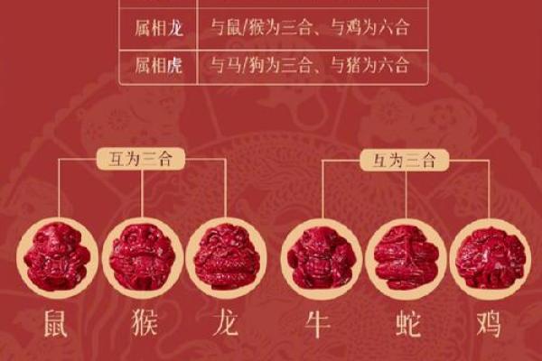 九死一生是什么生肖(九死一生猜生肖) 九死一生是什么生肖(九死一生猜生肖)