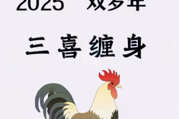属鸡今年几岁2025_2025年属鸡人年龄查询今年几岁 属鸡今年几岁2025_2025年属鸡人年龄查询今年几岁