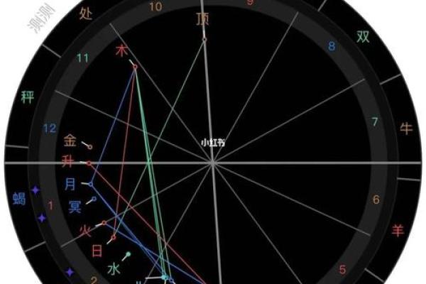 2025年2月22日丑时男命紫微斗数全解盘 2025年2月22日丑时男命紫微斗数全解盘