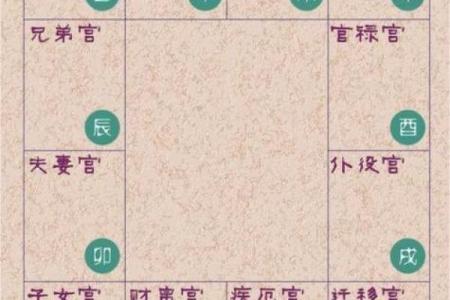 2025年3月4日丑时女命紫微斗数全解盘