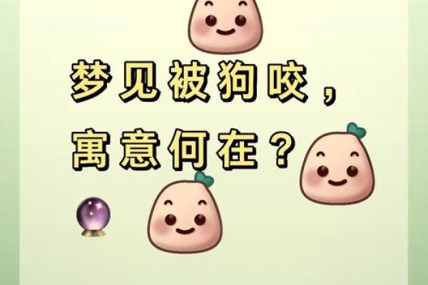 梦见狗咬自己的手 梦见狗咬自己的手