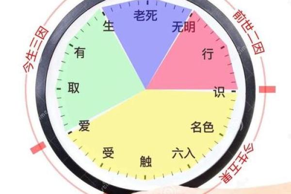 十二因缘是什么意思 十二因缘到底是什么 十二因缘是什么意思 十二因缘到底是什么