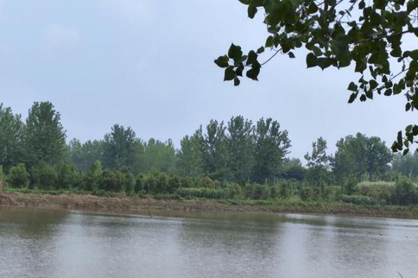 川流不息打一个生肖(川流不息打一个生肖动物) 川流不息打一个生肖(川流不息打一个生肖动物)