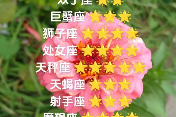 白羊座本月星座运势_白羊座本月运势解析事业爱情双丰收 白羊座本月星座运势_白羊座本月运势解析事业爱情双丰收