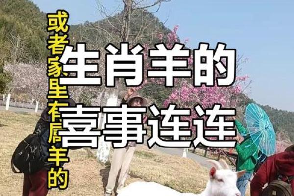2025年属羊运程_2025年属羊运程详解运势大揭秘与全年运势预测 2025年属羊运程_2025年属羊运程详解运势大揭秘与全年运势预测