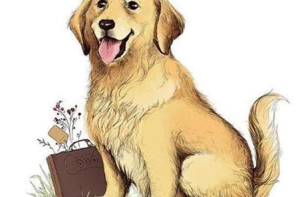 1970年属狗人2024年运势及运程_1970年属狗人2024年运势及运程周公解梦 1970年属狗人2024年运势及运程_1970年属狗人2024年运势及运程周公解梦