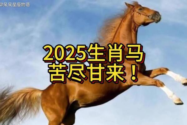 2025年属马运程 2025年属马运程怎样 2025年属马运程 2025年属马运程怎样