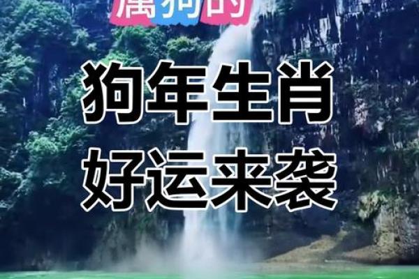属狗2025年财运 70年属狗2025年财运 属狗2025年财运 70年属狗2025年财运