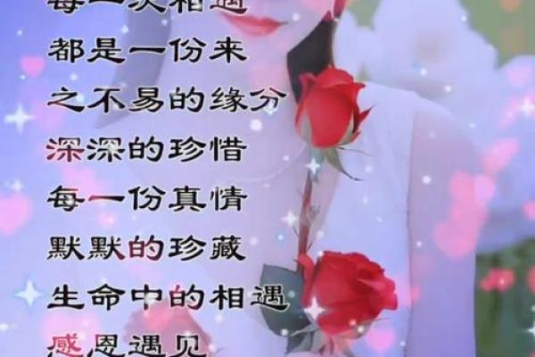 缘分的真正含义_缘分的最好解释 缘分的真正含义_缘分的最好解释