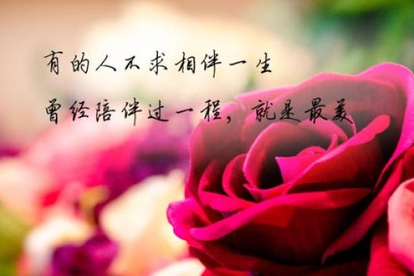 有缘分是什么意思_身上有缘分是什么意思 有缘分是什么意思_身上有缘分是什么意思