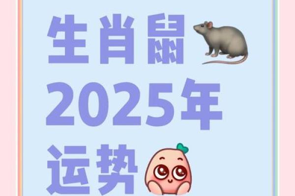 84年属鼠2025年的全年运势 84年属鼠2025年的全年运势