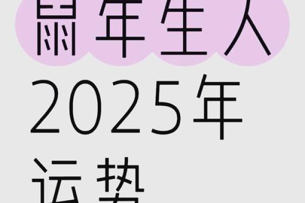 84属鼠人2025年全年运势运程 84属鼠人2025年全年运势运程