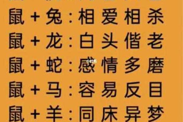 “凤头猪肚”打一生肖是什么,凤头猪肚指什么生肖答案解释释义落实 “凤头猪肚”打一生肖是什么,凤头猪肚指什么生肖答案解释释义落实