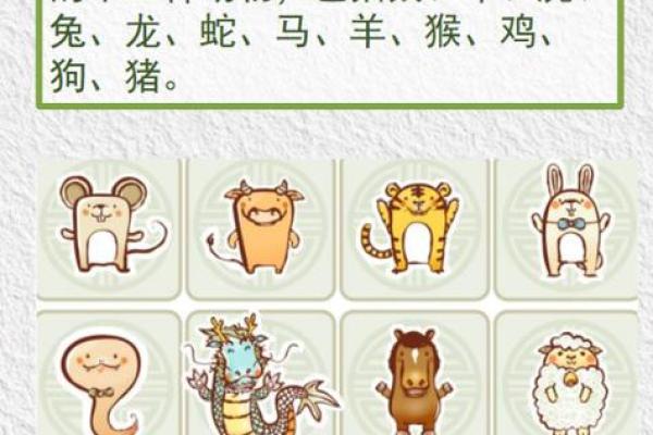 大打出手是什么生肖 大打出手是什么生肖