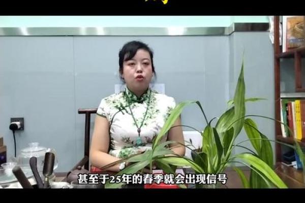 2025属鸡的今年多大 属鸡的年龄表 2025属鸡的今年多大 属鸡的年龄表