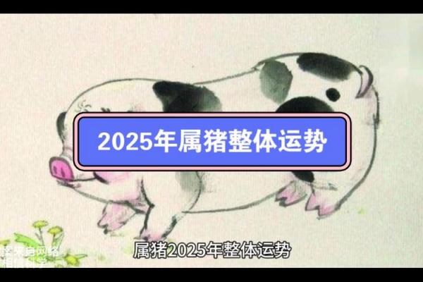 属猪1971年2025年运势及运程_1971年的猪未来五年的运程 属猪1971年2025年运势及运程_1971年的猪未来五年的运程
