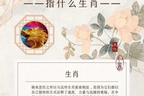 勾三搭四是什么生肖 勾三搭四是什么生肖