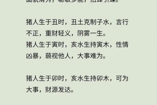 属猪2007年是什么命_2007年属猪人命运解析金猪之命详解