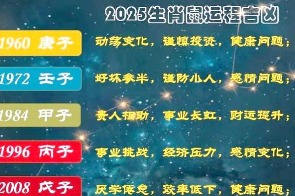 2025属鼠人全年运势 2025属鼠人全年运势