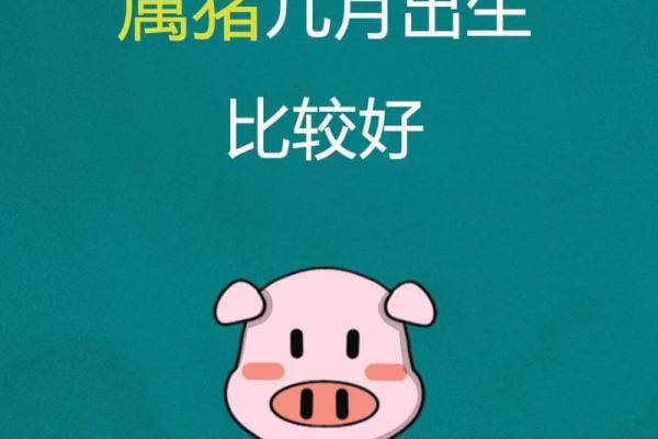 属猪几月生人命运最佳揭秘最佳出生月份 属猪几月生人命运最佳揭秘最佳出生月份