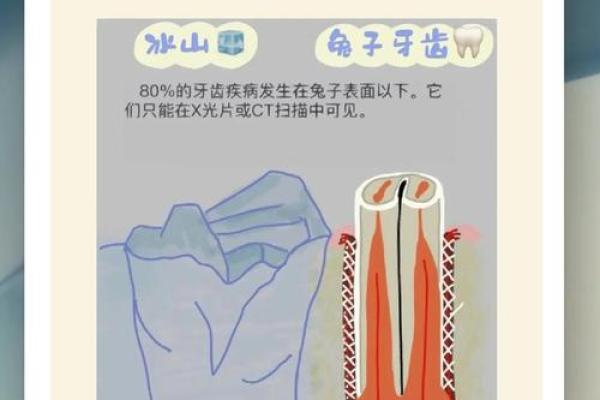 “咬紧牙根”打一生肖是什么,咬紧牙根是什么生肖答案解释释义落实 “咬紧牙根”打一生肖是什么,咬紧牙根是什么生肖答案解释释义落实