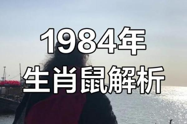 1984年属鼠2025年运势 1984年属鼠2025年运势