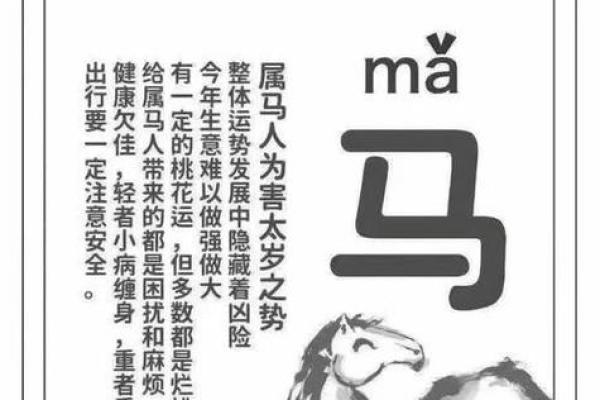 78年属马人2025年运势运程详解生肖运势精准预测与建议