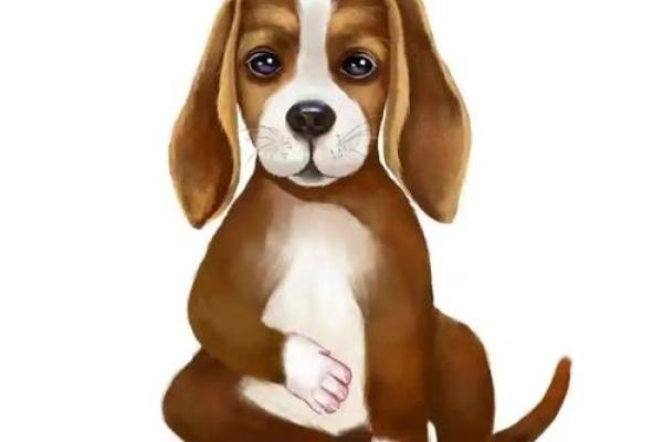 属狗2025年多大年龄_2025年属狗人年龄全解析你今年几岁 属狗2025年多大年龄_2025年属狗人年龄全解析你今年几岁