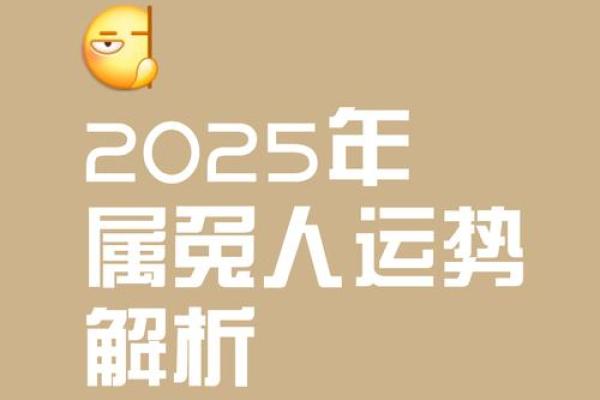 2025年75年属兔运势解析财运事业感情全面预测 2025年75年属兔运势解析财运事业感情全面预测