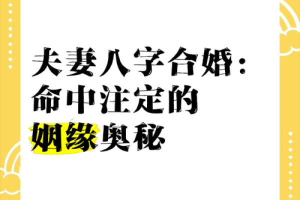 听说姻缘命中注定 听说姻缘命中注定揭秘命运与爱情的奇妙联系 听说姻缘命中注定 听说姻缘命中注定揭秘命运与爱情的奇妙联系