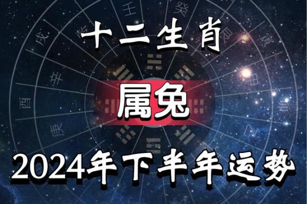 2025年六三年属兔男运势详解财运事业健康全解析 2025年六三年属兔男运势详解财运事业健康全解析