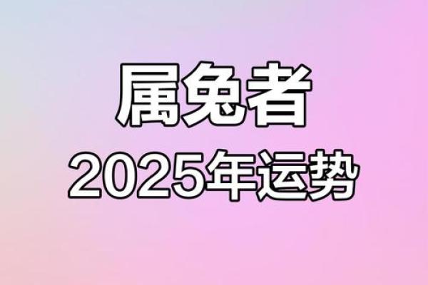 2025年六三年属兔男运势详解财运事业健康全解析 2025年六三年属兔男运势详解财运事业健康全解析