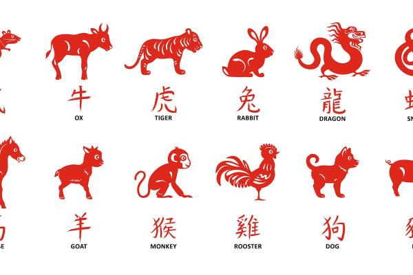 反咬一口指什么生肖(反咬一口猜一个成语) 反咬一口指什么生肖(反咬一口猜一个成语)