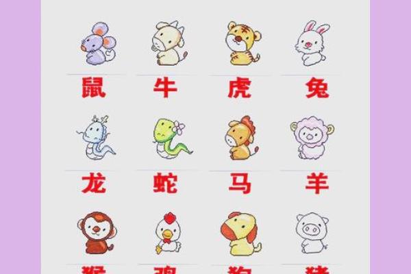 1966年1月生人属马年份生肖对照全解析 1966年1月生人属马年份生肖对照全解析